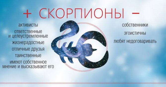 12 ЗАПОВЕДЕЙ как делать минет правильно: мужчина запомнит это навсегда