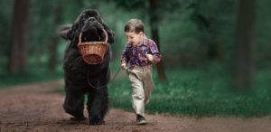 Ребёнок хочет завести собаку?