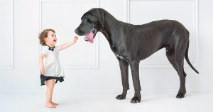 Ребёнок хочет завести собаку?